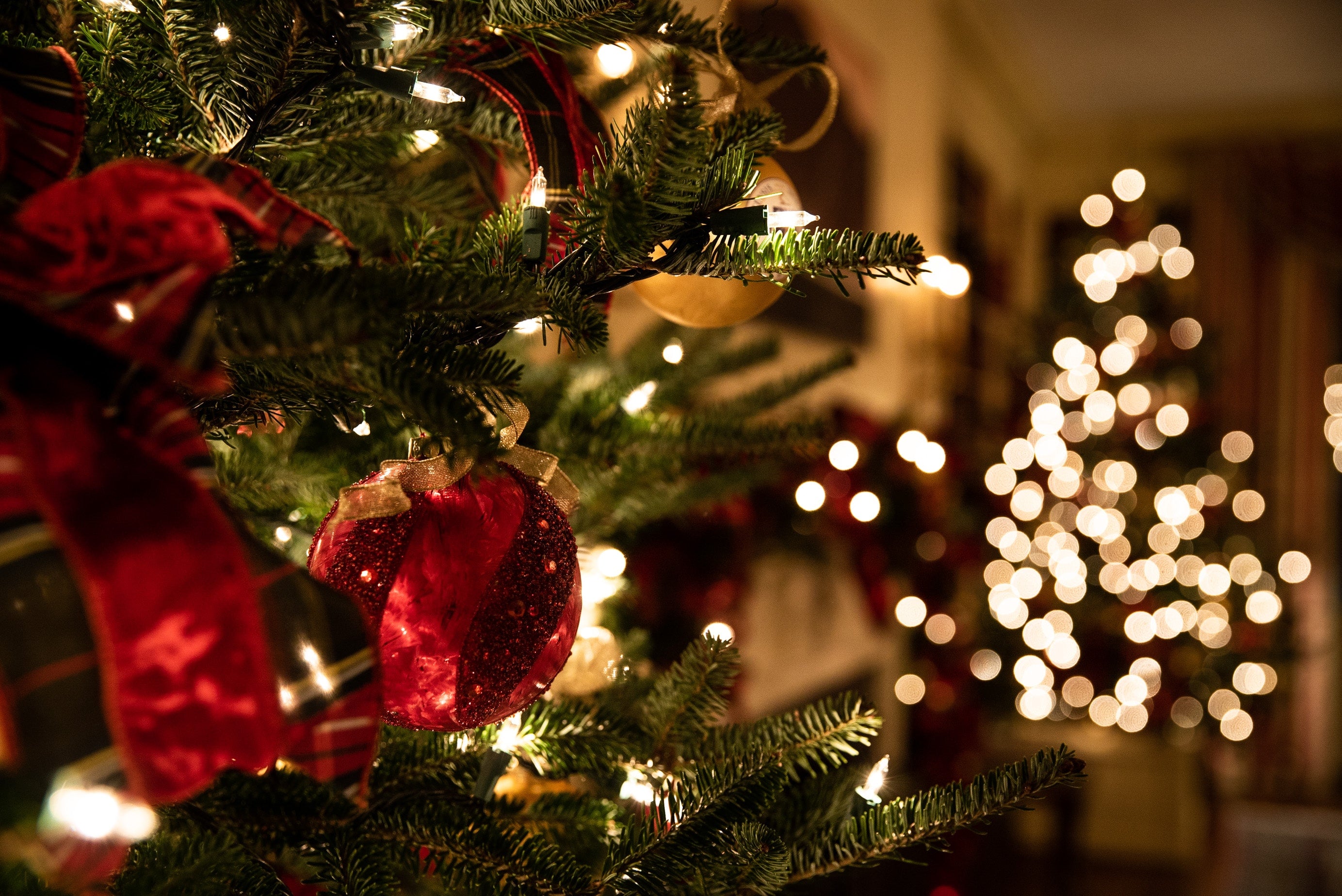 Holiday Time Christmas Trees