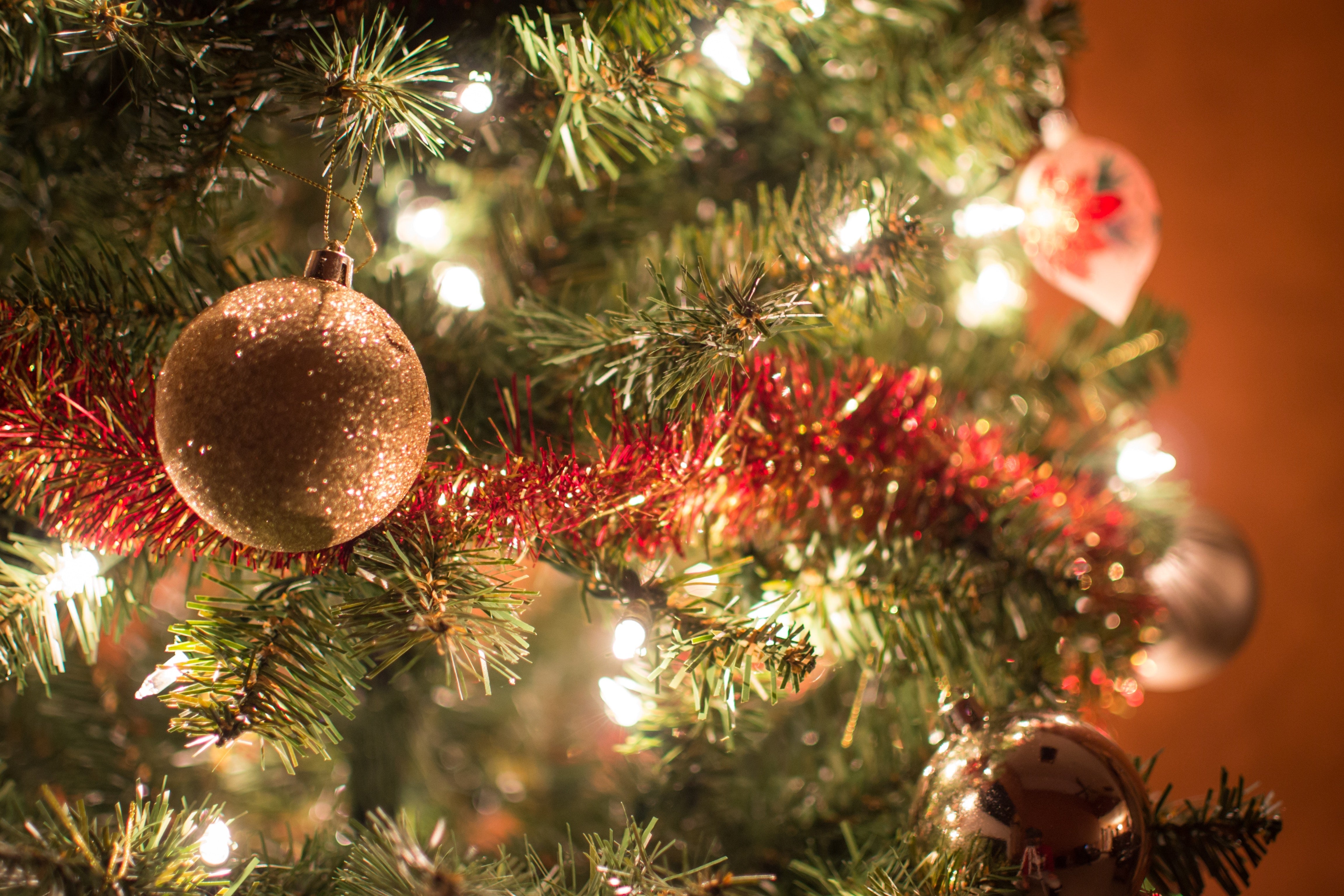 Hinged Christmas Trees