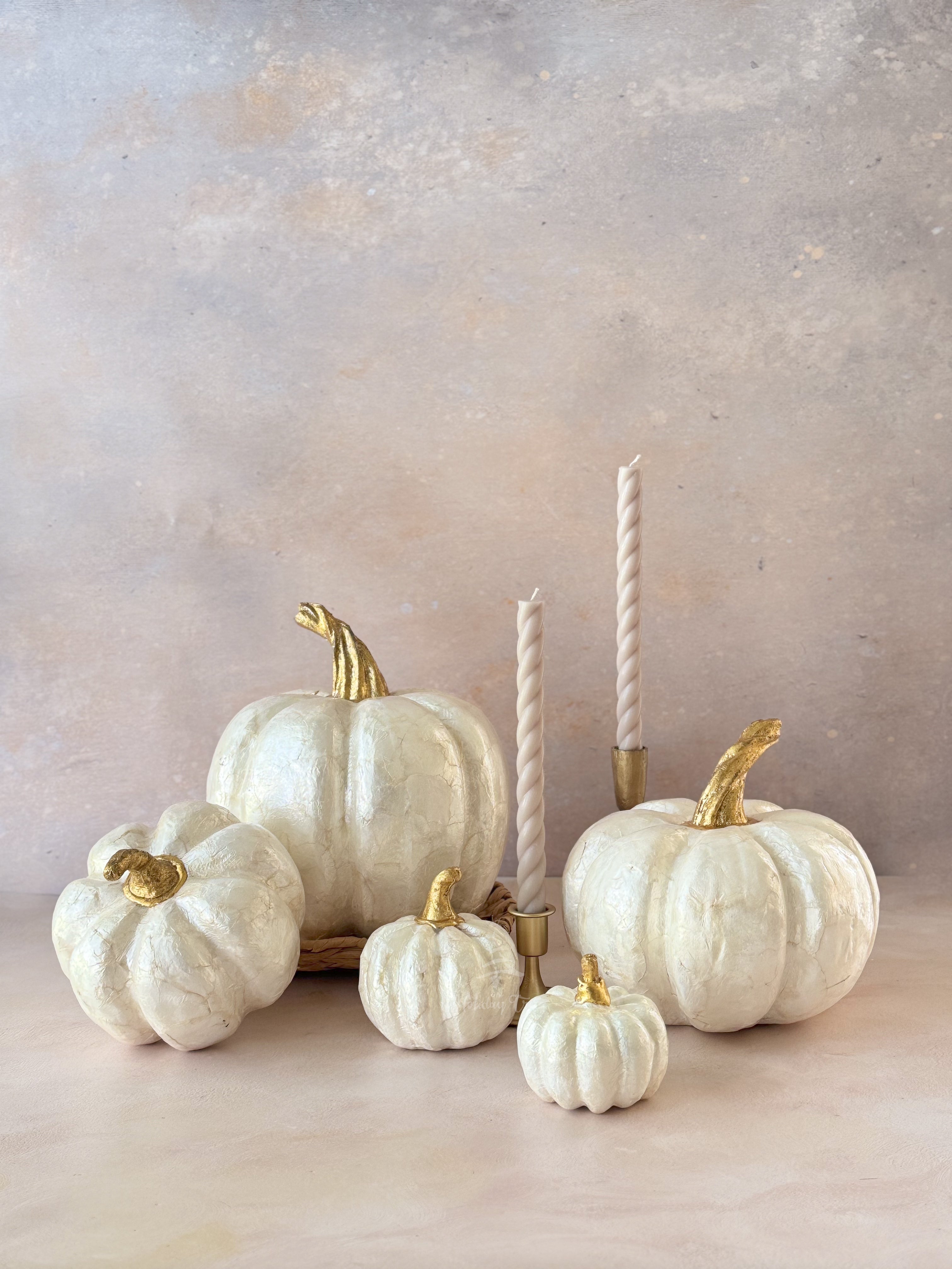 All_sizes_Capiz_white_pumpkins