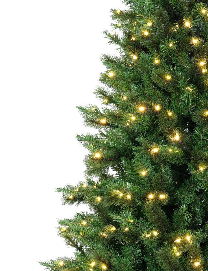 Holiday Time Christmas Trees – Holiday Tree