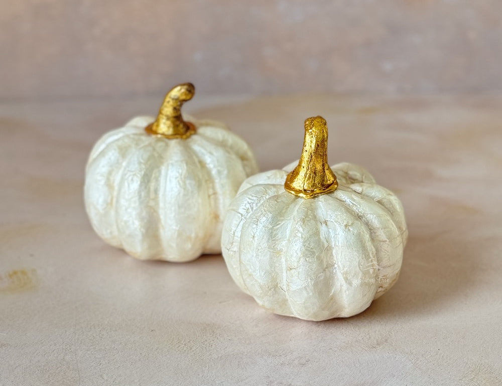 Capiz Ivory Pumpkin