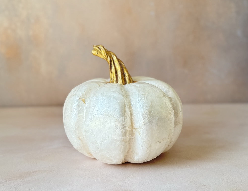 Capiz Ivory Pumpkin