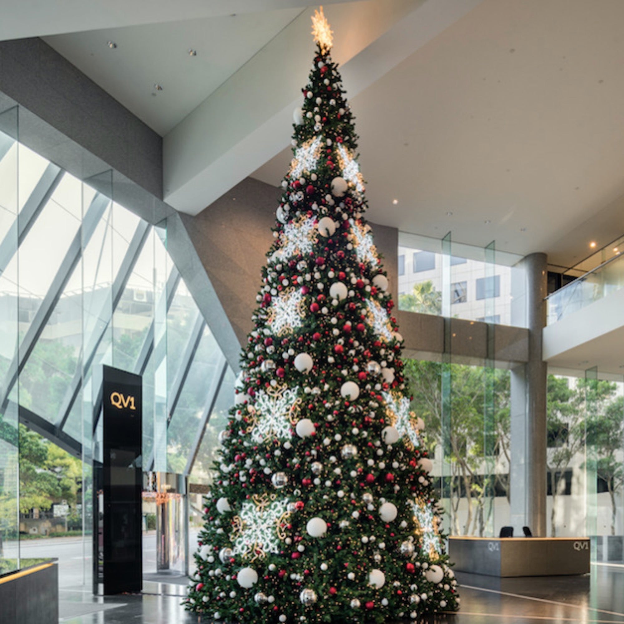 Giant Christmas Trees Giant Commercial Christmas Trees For Holiday