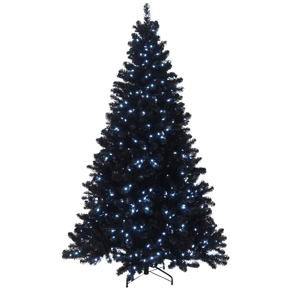 Christmas Tree Black Douglas Fir with White LED lights - HOLIDAY TREE