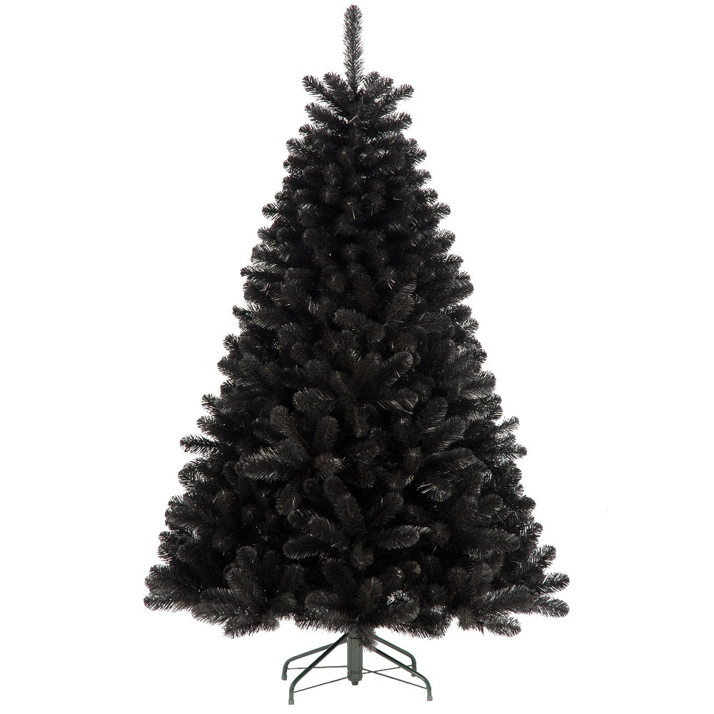 Black Douglas Fir, Unlit